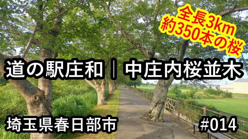 中庄内桜並木コースのアイキャッチ画像